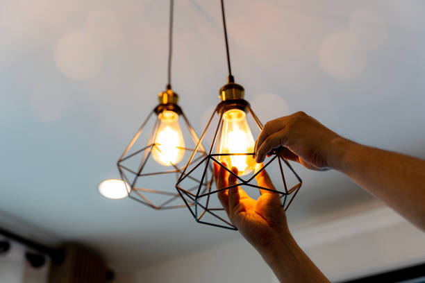 Best Home Electrical Repair  in Ina, IL