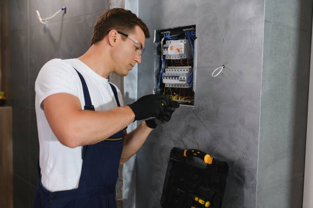 Best Electric Panel Repair  in Ina, IL