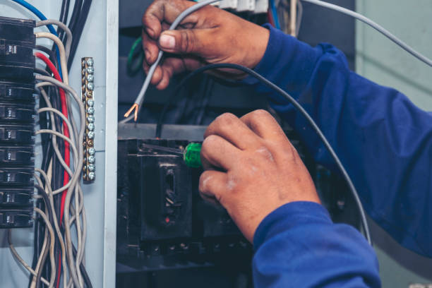 Best Electrician for Home Renovation  in Ina, IL