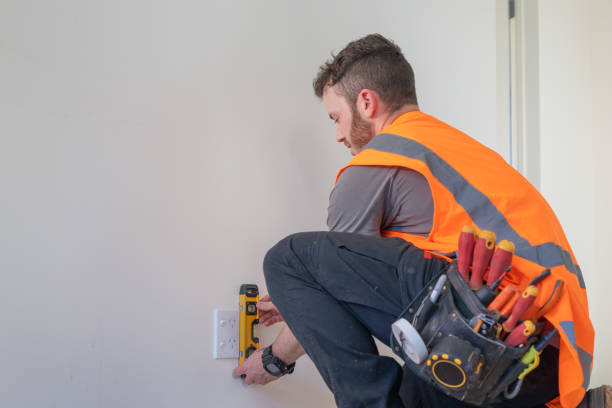 Best Electrical Troubleshooting Services  in Ina, IL