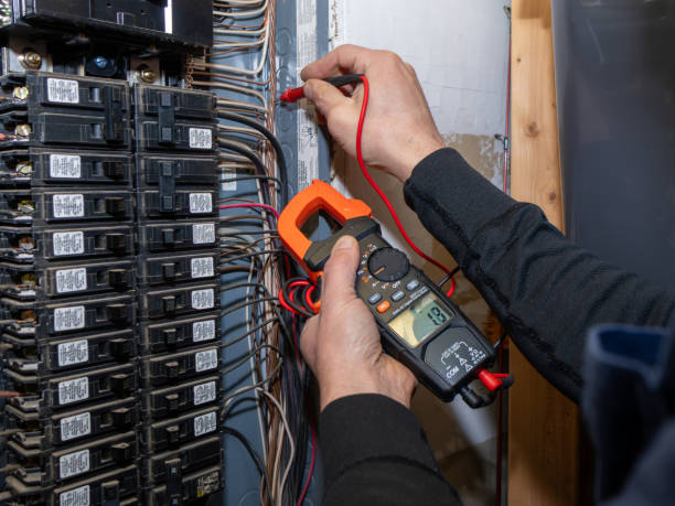 Best Electrical System Inspection  in Ina, IL
