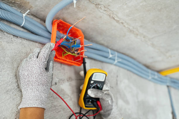 Best Electrical Upgrades for Homes  in Ina, IL